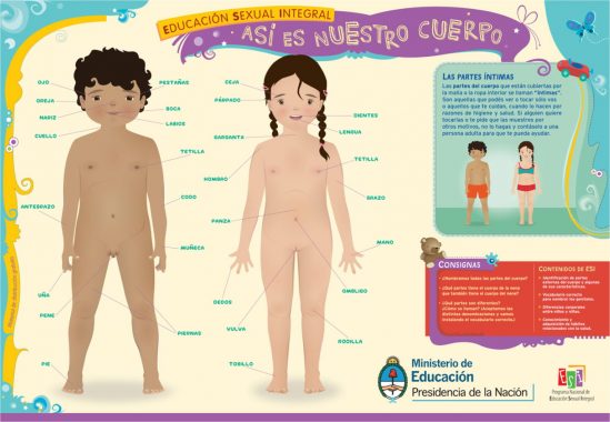 Lee más sobre el artículo ESI – Así es nuestro cuerpo