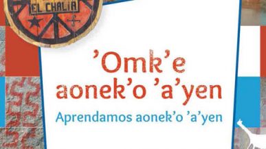 Libro Aprendamos aonek’o ’a’yen