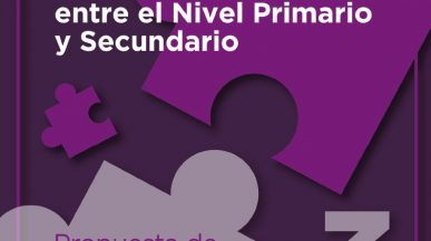 Articulación entre el Nivel Primario y Secundario – 3ra Propuesta de actividades de Matemática (docente)