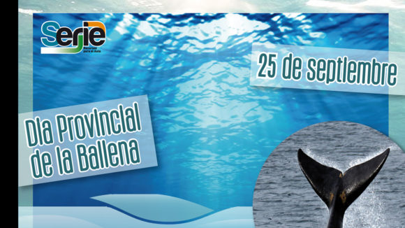 Lee más sobre el artículo Efeméride 25 de septiembre – Día Provincial de la Ballena